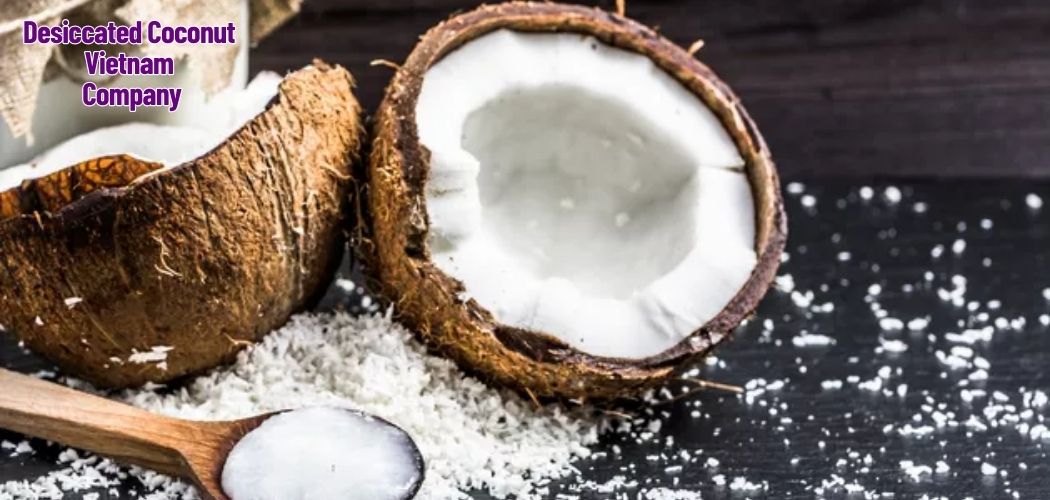 Desiccated Coconut Vietnam Company 1