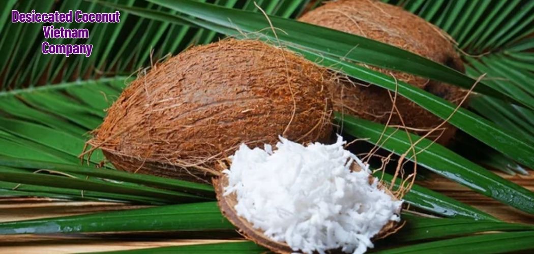 Desiccated Coconut Vietnam Company