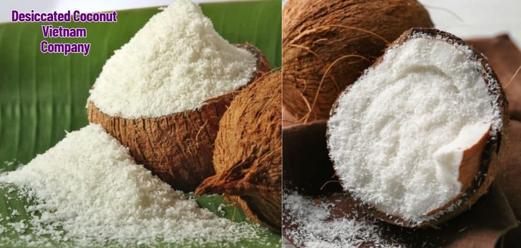 Desiccated Coconut Vietnam Company