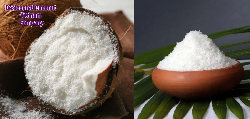 Desiccated Coconut Vietnam Company