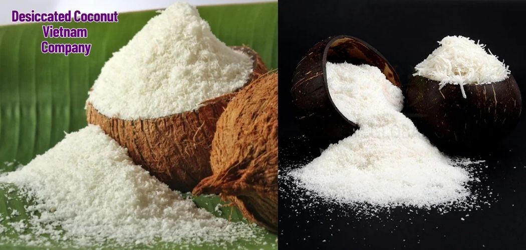 Desiccated Coconut Vietnam Company 4