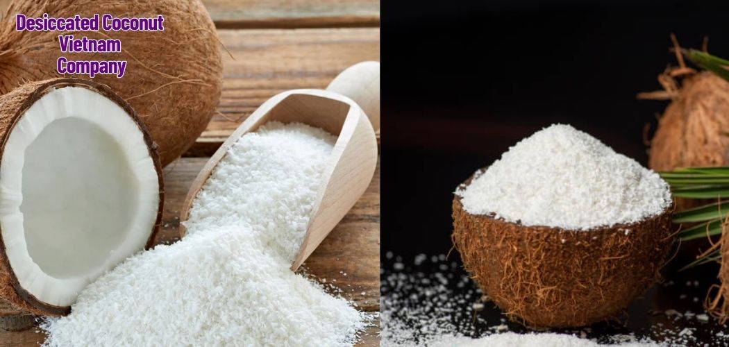 Desiccated Coconut Vietnam Company 7