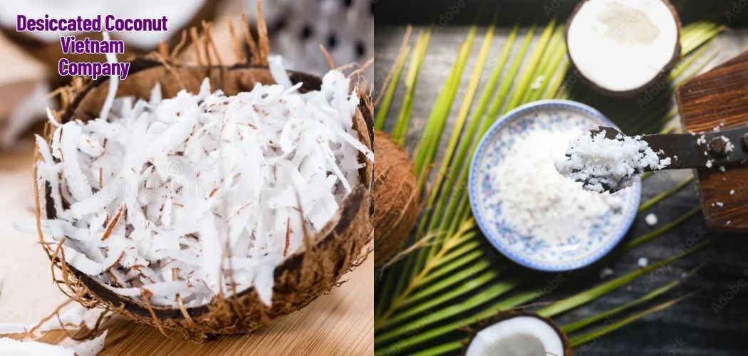 Desiccated Coconut Vietnam Company 8
